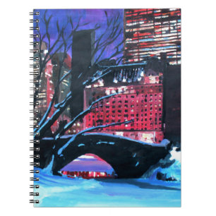 Carnet New York City - hiver de Central Park