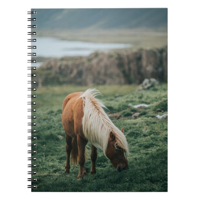 CARNET NICE HORSE (Devant)