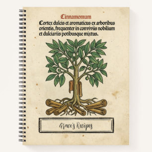 Carnet Nid de Cinnamologus : Recette Médiévale à la Canne