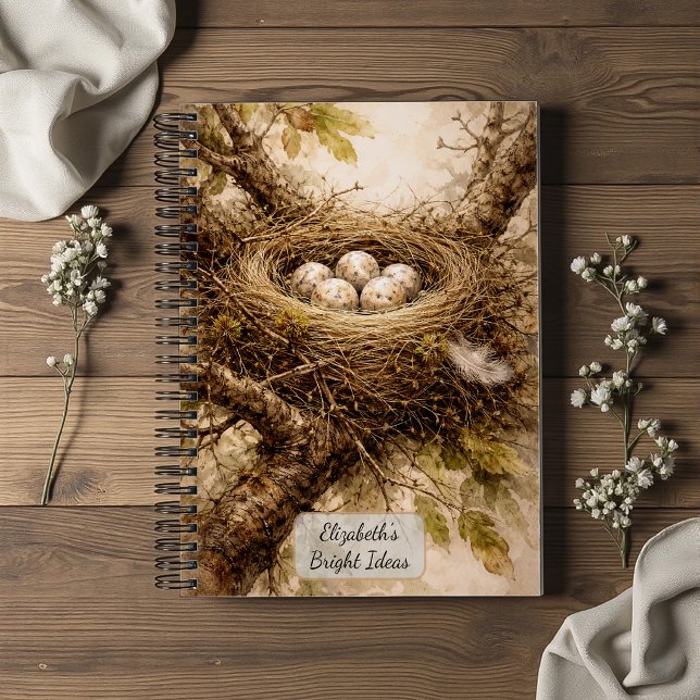 Carnet Nid d'oiseau vintage avec des œufs (Créateur téléchargé)