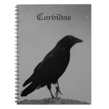 Night With Corvidae
