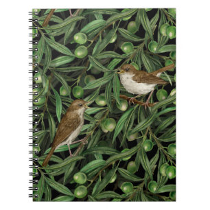 Carnet Nightingales in the olive tree 3