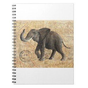 Carnet NOB175 camion 3.tif