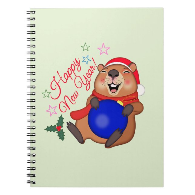 Carnet Noël  (Devant)