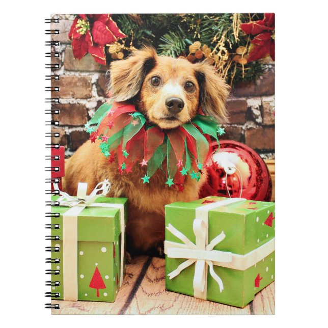 Carnet Noël - basset allemand - Heidi (Devant)