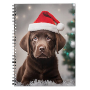 Carnet Noël du Labrador au chocolat
