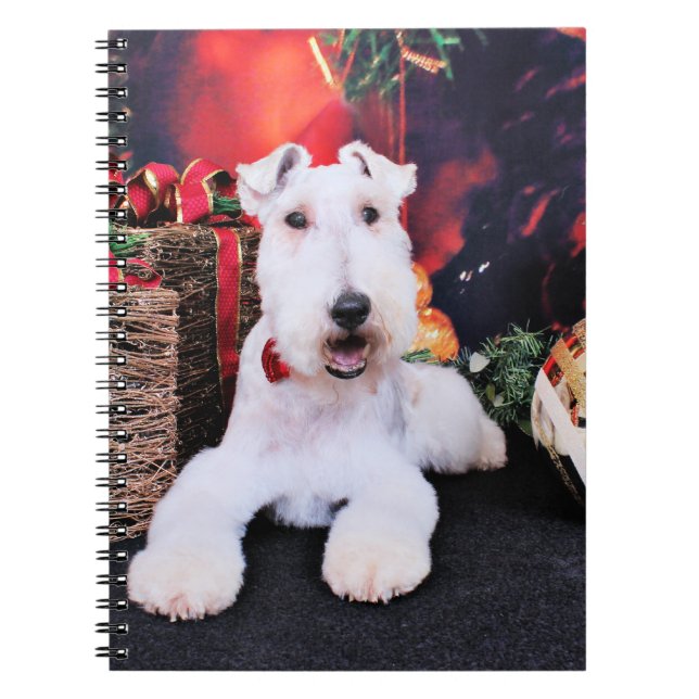 Carnet Noël - Fox de fil Terrier - Dexter (Devant)