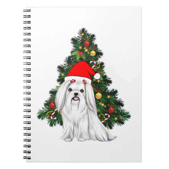 Carnet Noël maltais, Noël Chien maltais de Noël avec chap (Devant)
