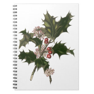 Carnet Noël vintage, plante de houx vert avec des baies