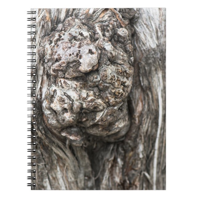 Carnet Noeud du tronc d'arbre (Devant)