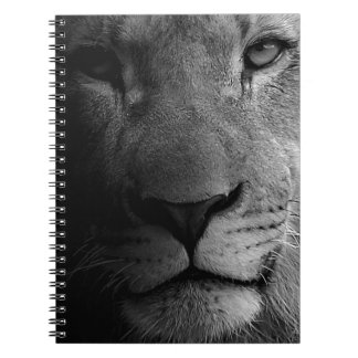 Carnet Noir Blanc Motivation Leadership Lion Portrait