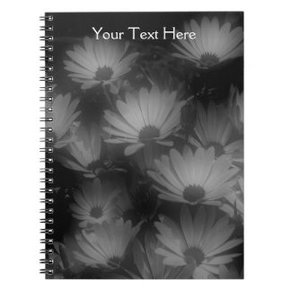 Carnet noir et blanc Fleurs marguerites africaines