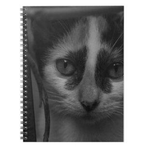 Carnet Noir et blanc - Kitty 02