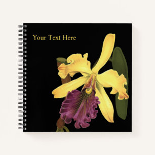 Carnet noir Queen Orchid