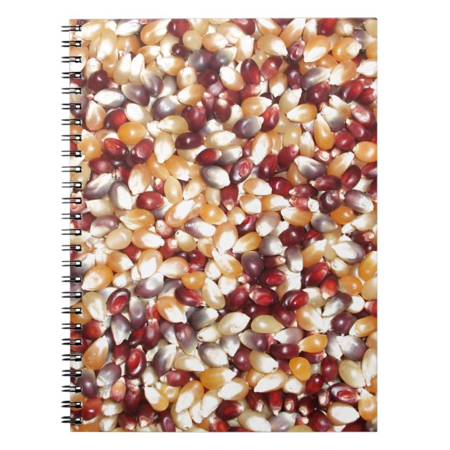 Carnet Noix de maïs populaire colorées (Devant)