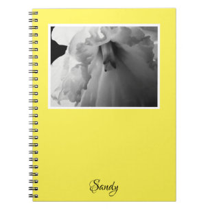Carnet Nom Daffodil Photographie noir et blanc