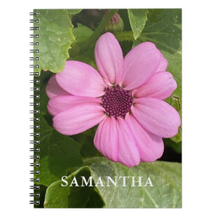 Carnet Nom de la photographie florale rose