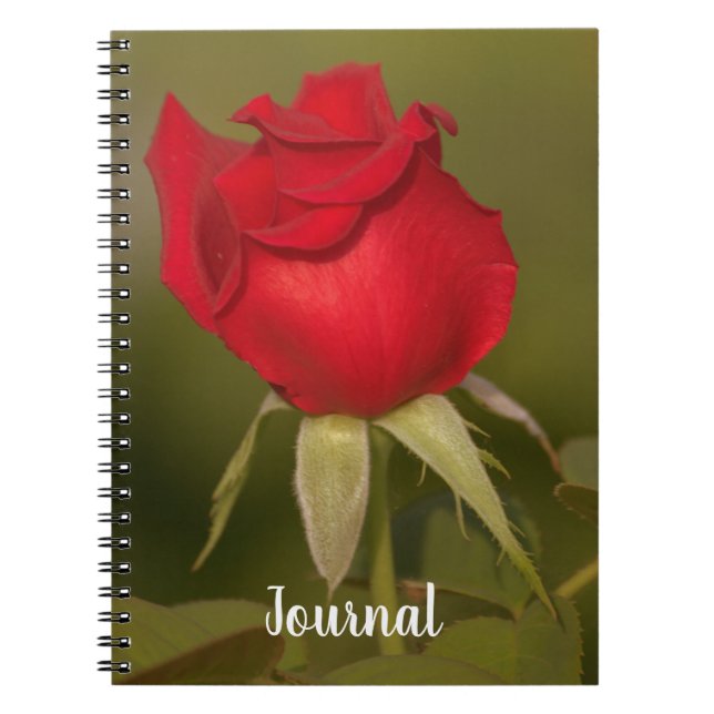 Carnet Nostalgic Red Rose Journal (Devant)