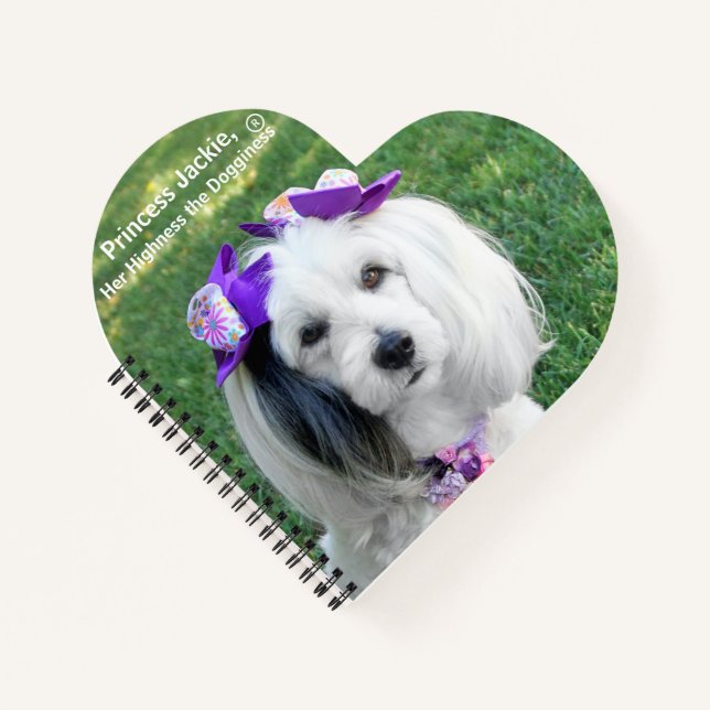 Carnet Notebook (Devant)