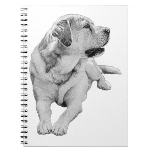 Carnet Notes avec un Buddy Gentle