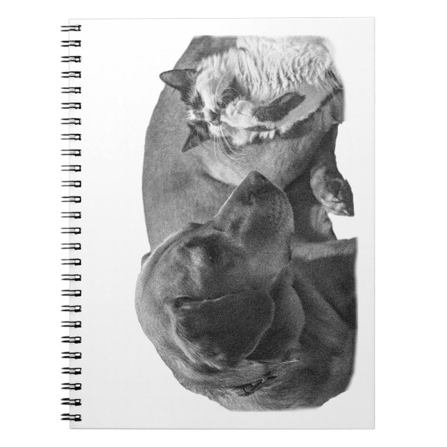 Carnet Notes avec un duo cosy (Devant)