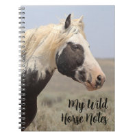 Notes de Cheval Sauvage Thor