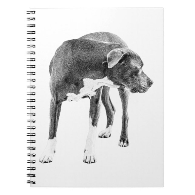 Carnet Notes du Lookout (Devant)