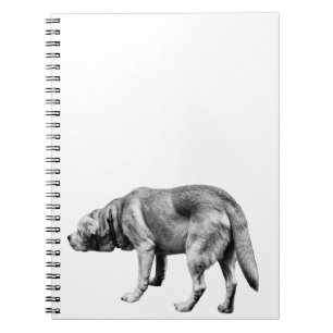 Carnet Notes d'une patrouille fidèle