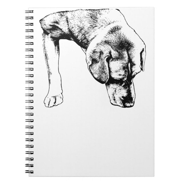 Carnet Notes D'Une Promenade Calme (Devant)