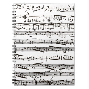 Carnet Notes musicales noires et blanches