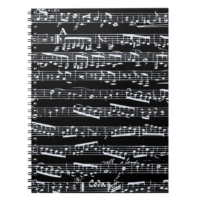 Carnet Notes noires et blanches de musique (Devant)