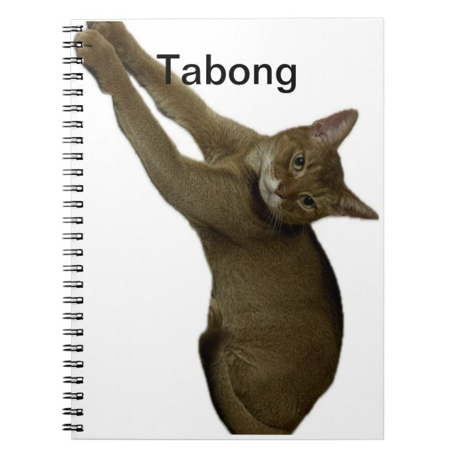 Carnet Notes sur le chat (Devant)