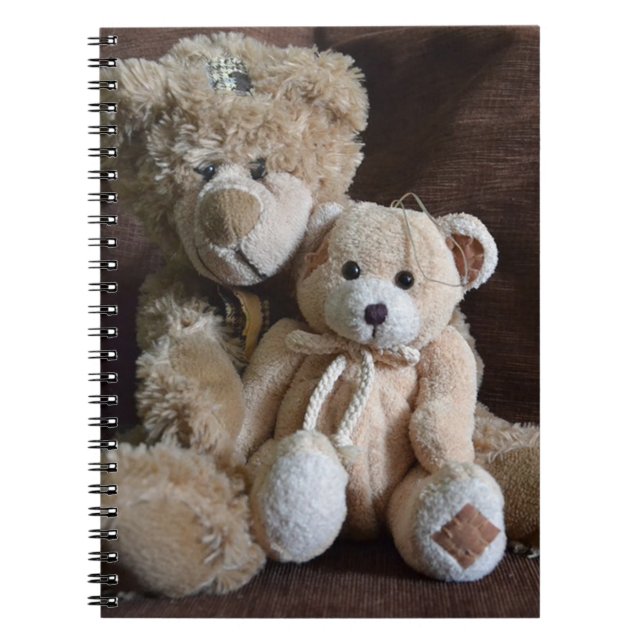 Carnet Nounours mignons (Devant)