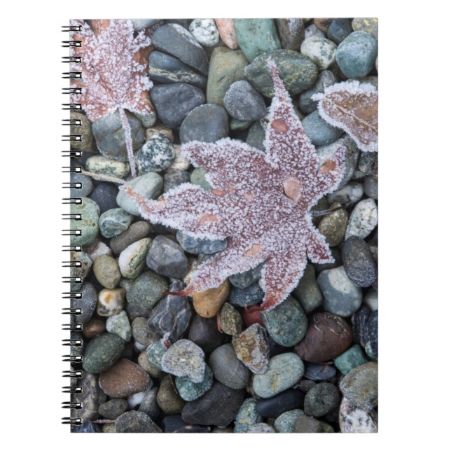 Carnet Nous, Wa, Bainbridge Island. Gelée matinale 2 (Devant)