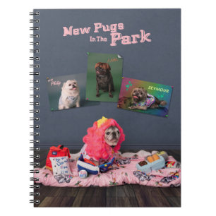 Carnet Nouveaux Carlins