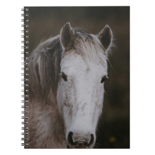 CARNET NOUVELLE FORÊT PONY