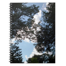 Nuages Derrière Les Arbres Photo