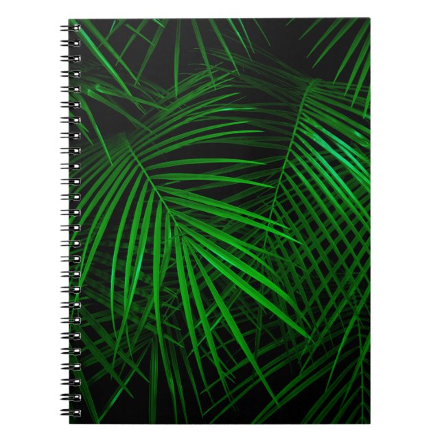 Carnet Nuit en forêt tropicale. Feuilles de palmes éclair (Devant)