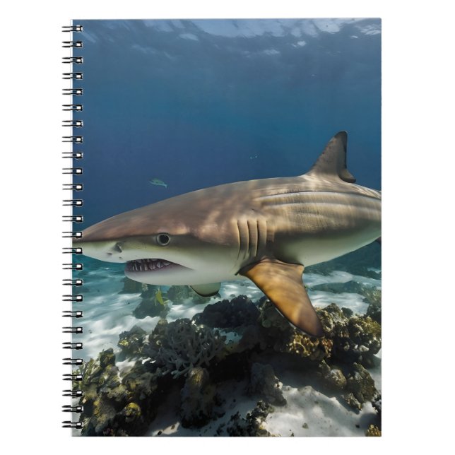 Carnet Océan Bleu Été Plage Photo requin          (Devant)