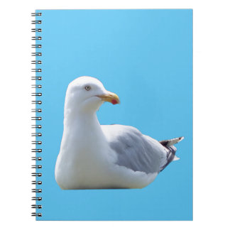 Carnet Ocean Seagulls Resting Bird Lover Wildlife