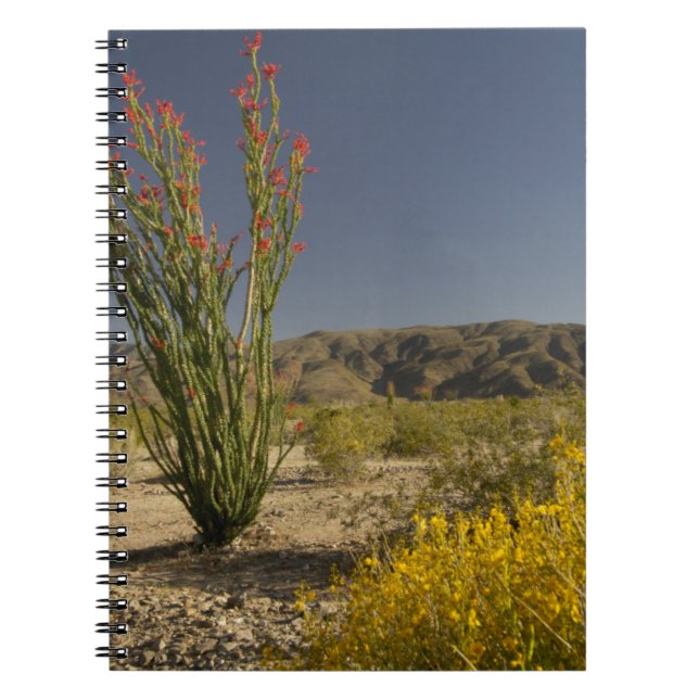 Carnet Ocotillo et senne du désert (Devant)