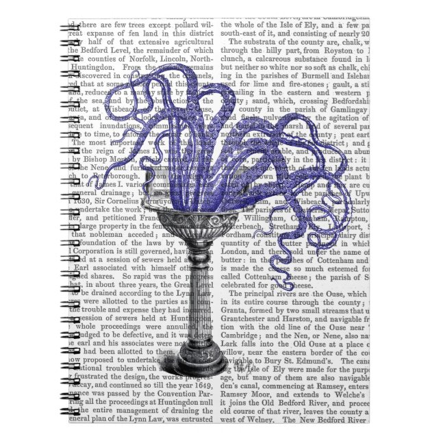 Carnet Octopus en évier (Devant)