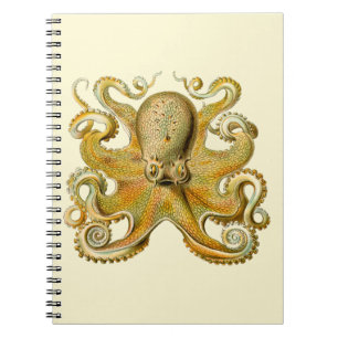 Carnet Octopus illustration antique monstre marin