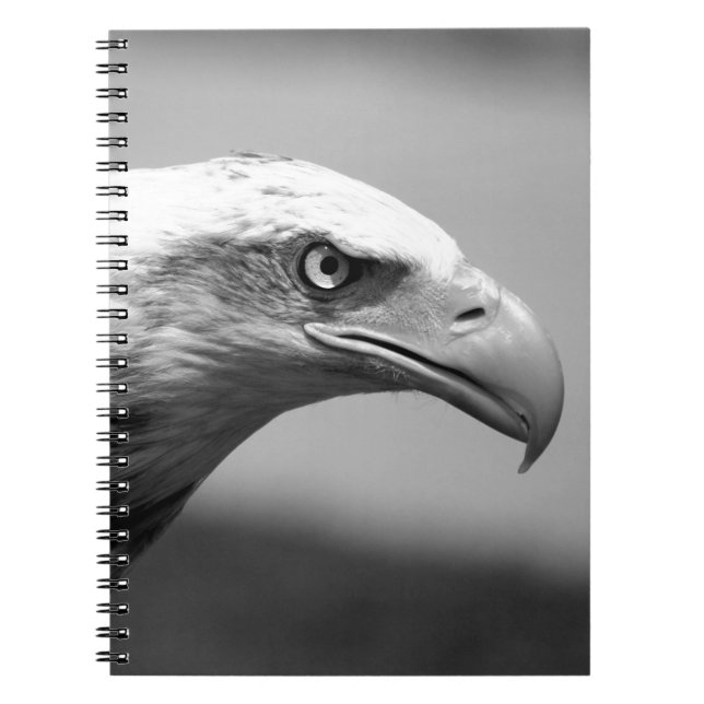 Carnet Oeil d'aigle noir et blanc (Devant)