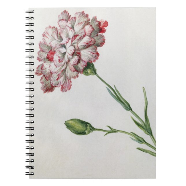Carnet Oeillets (la semaine sur le papier) (Devant)