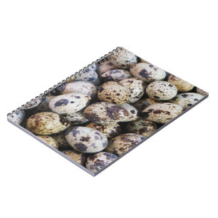 Carnet Oeufs de caille