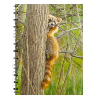 Carnet Œuvre d'art à l'aquarelle de Raton laveur qui rega