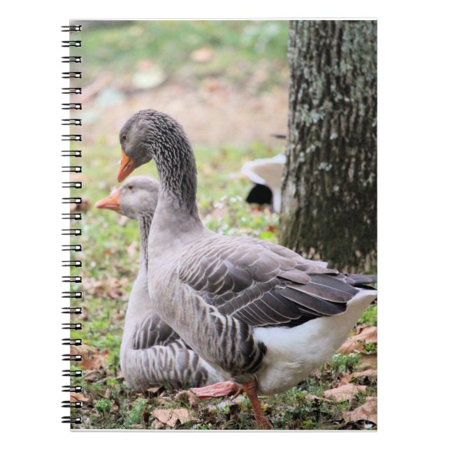 Carnet Oie (Devant)