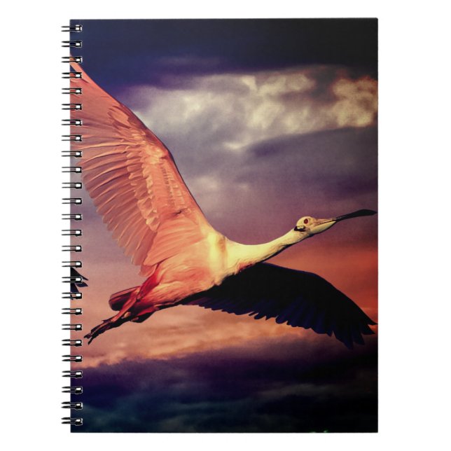 Carnet Oiseau (Devant)