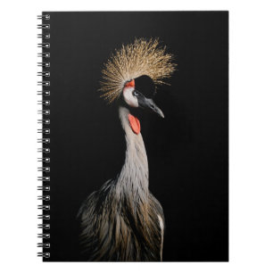CARNET OISEAU AU BRÉSIL